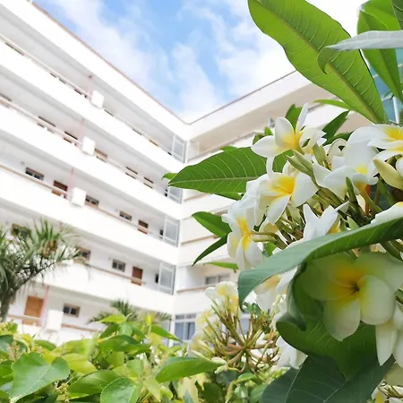 Las Camelias 215 By Pride Holiday Rentals Maspalomas  Exterior photo
