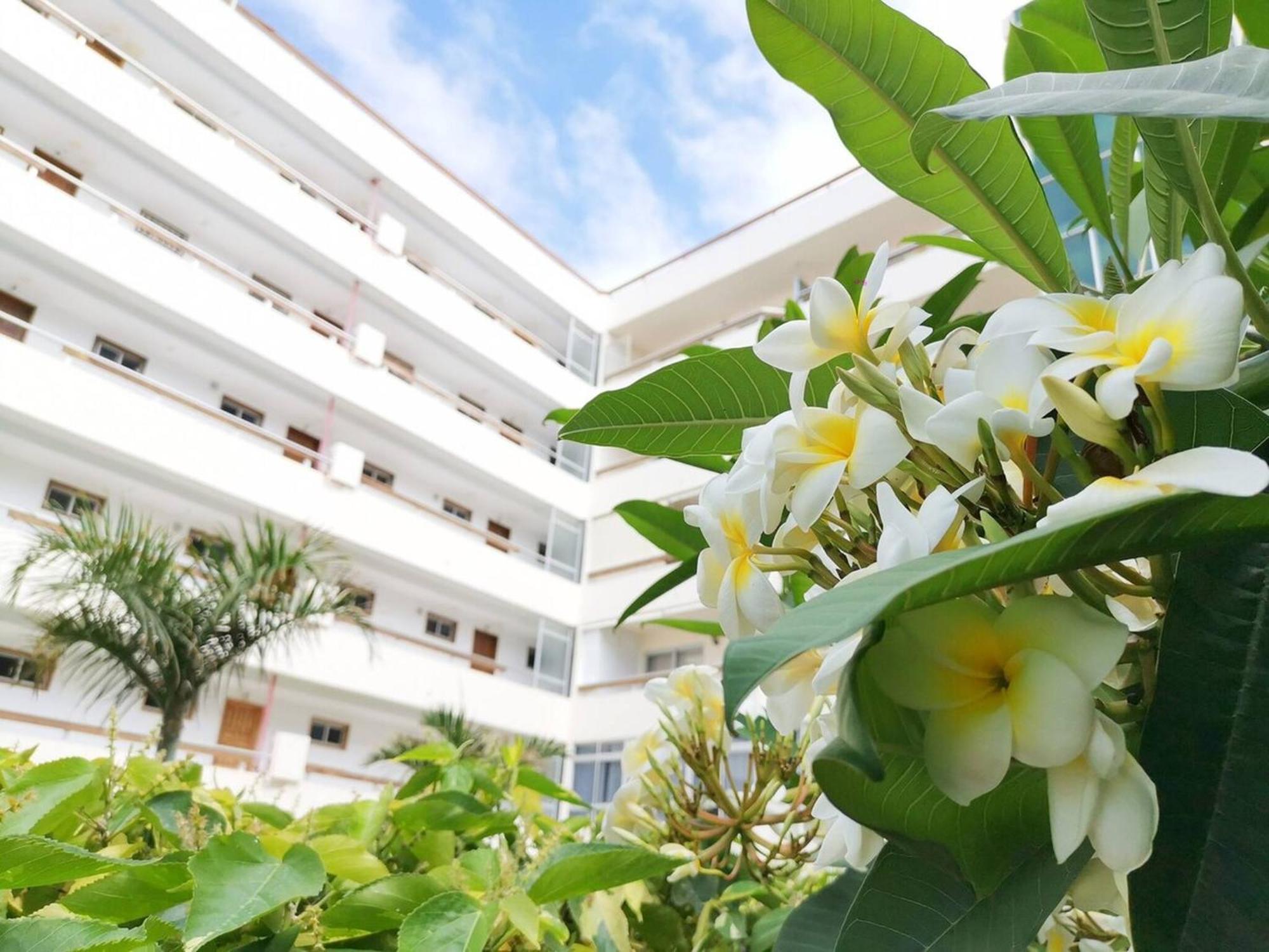 Camelias 215 Apartamento